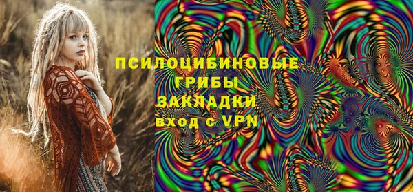 шишки Абинск